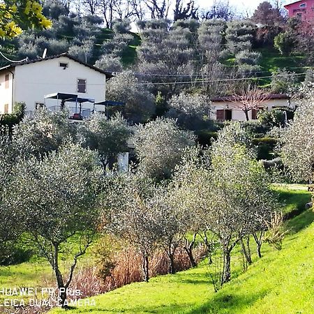 Tenuta Degli Obizzi Appartement Montecarlo Buitenkant foto