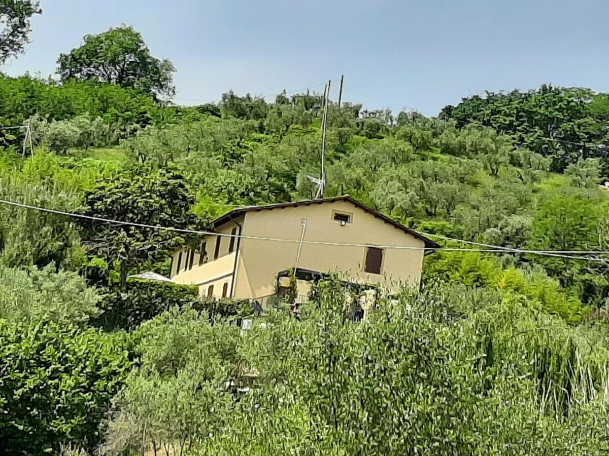 Tenuta Degli Obizzi Appartement Montecarlo Buitenkant foto