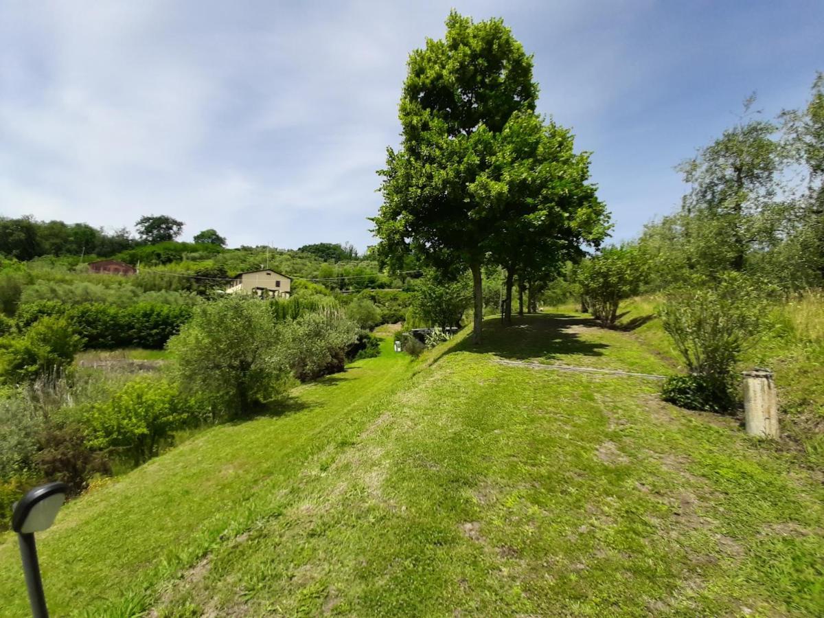 Tenuta Degli Obizzi Appartement Montecarlo Buitenkant foto