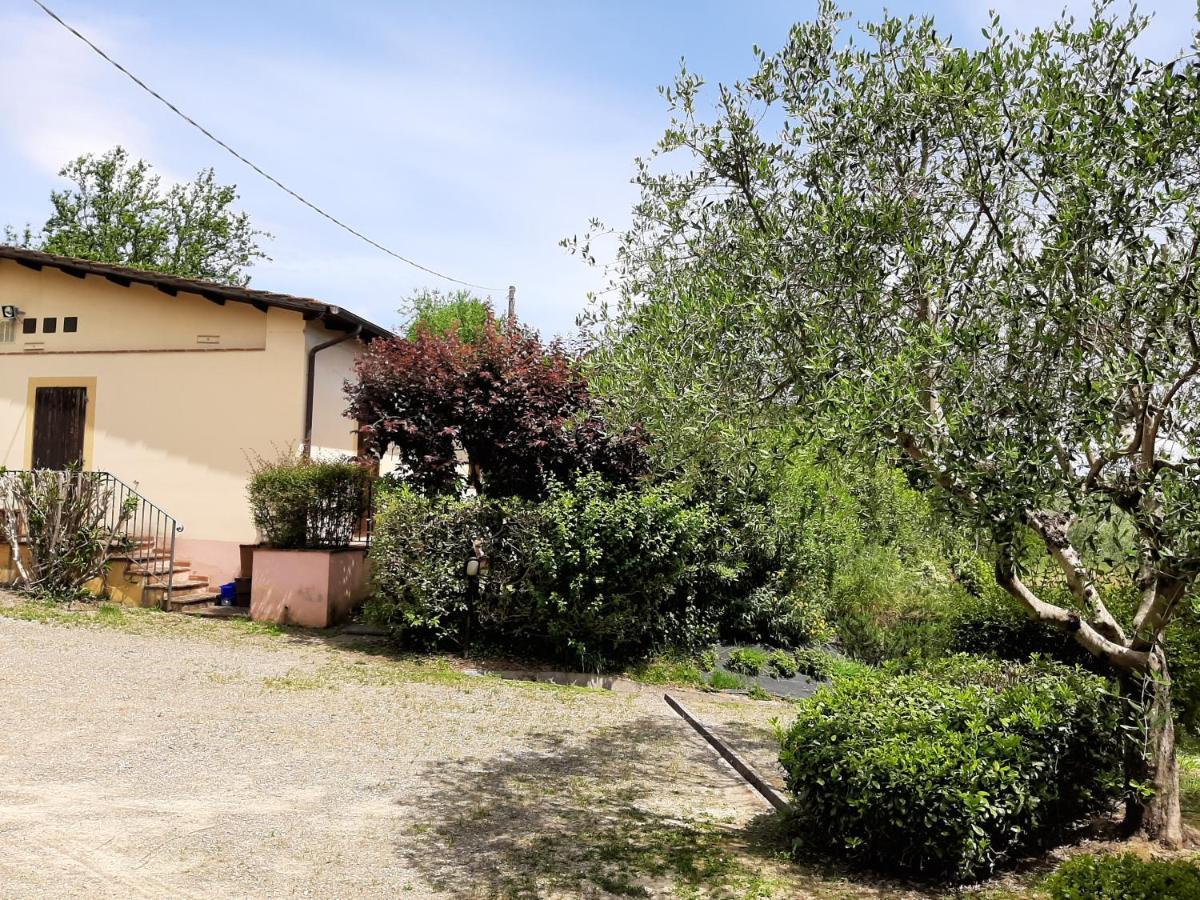 Tenuta Degli Obizzi Appartement Montecarlo Buitenkant foto