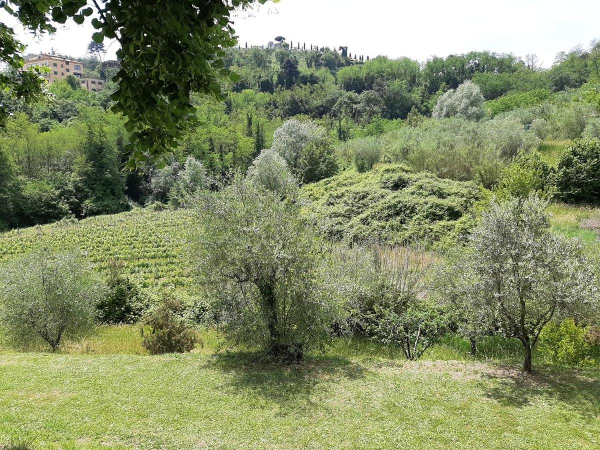 Tenuta Degli Obizzi Appartement Montecarlo Buitenkant foto
